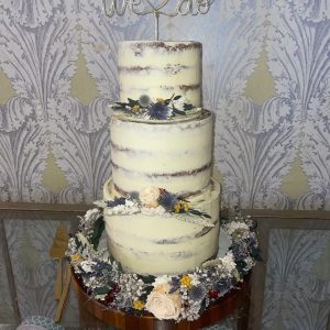61a6de cb5e0a3cb2c143fbb7d896395c04c4e2mv2 - Anita's Wicked Cakes